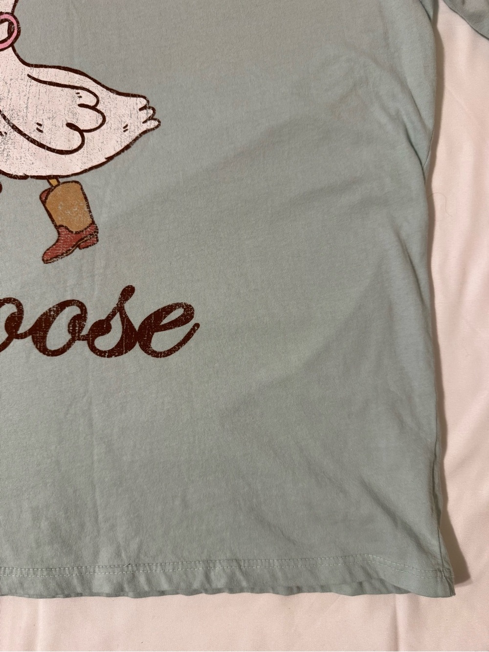 Originality “Silly Goose on the Loose" Graphic Tee - Mint - Picture 6 of 12